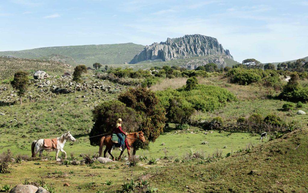 4 Days Trekking on Bale Mountains National Park