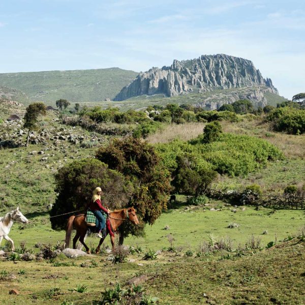 4 Days Trekking on Bale Mountains National Park