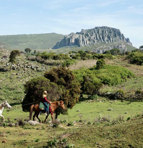 4 Days Trekking on Bale Mountains National Park