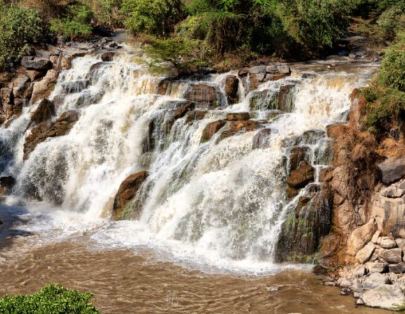 3 Days  Awash national park tour itinerary